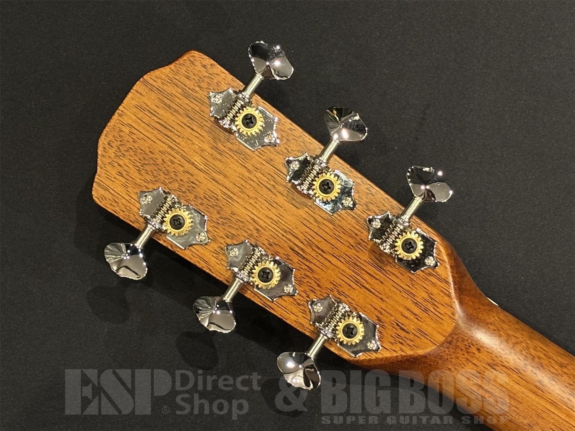 【即納可能】MORRIS(モーリス) 	F-1 / Natural 京都店