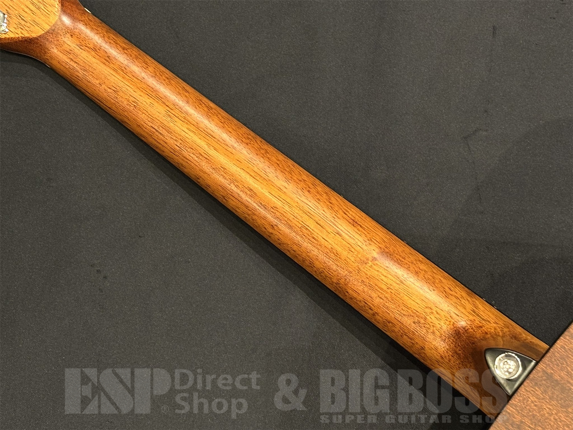 【即納可能】MORRIS(モーリス) 	F-1 / Natural 京都店