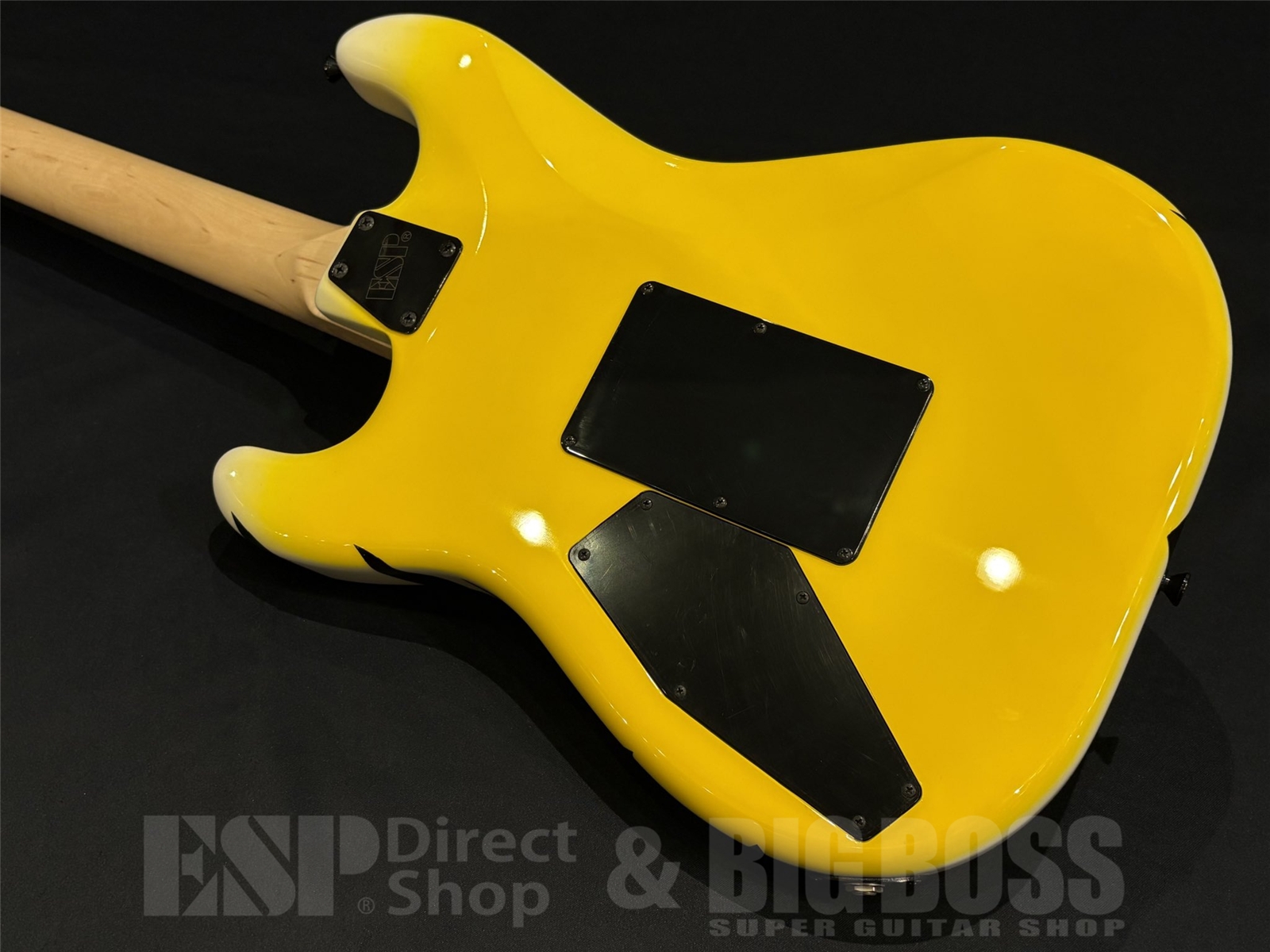 【即納可能】EDWARDS(エドワーズ) E-YELLOW TIGER / Yellow Tiger Graphic 京都店 - 9