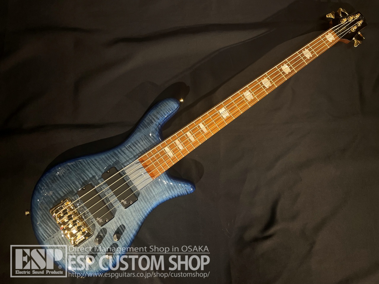 【即納可能】Spector(スペクター) EuroBolt 5 Japan Exclusive / Blue Burst  大阪店