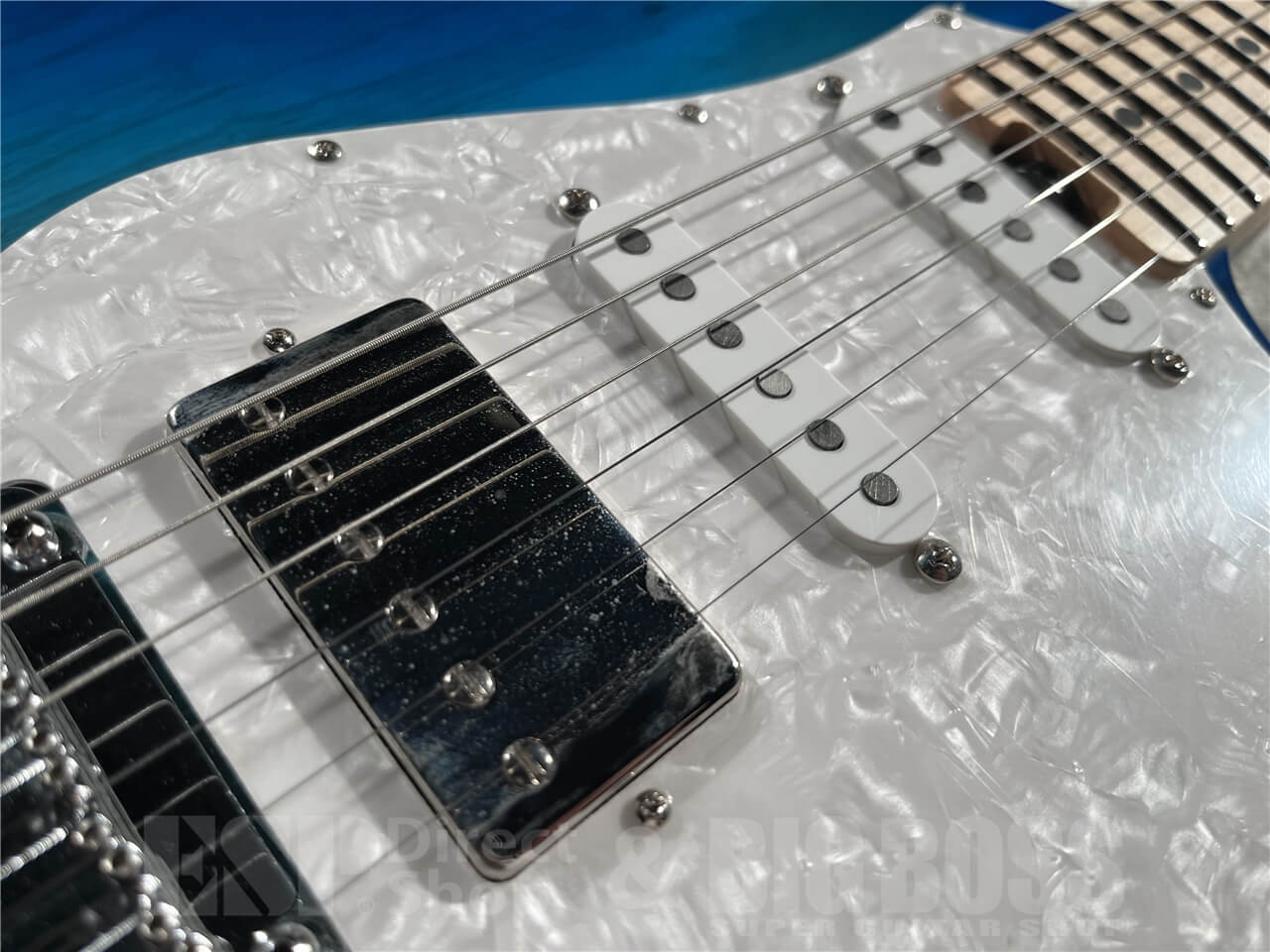 【即納可能】EDWARDS(エドワーズ) E-SNAPPER-AS/M (See Thru Blue Sunburst) 札幌店 - 3