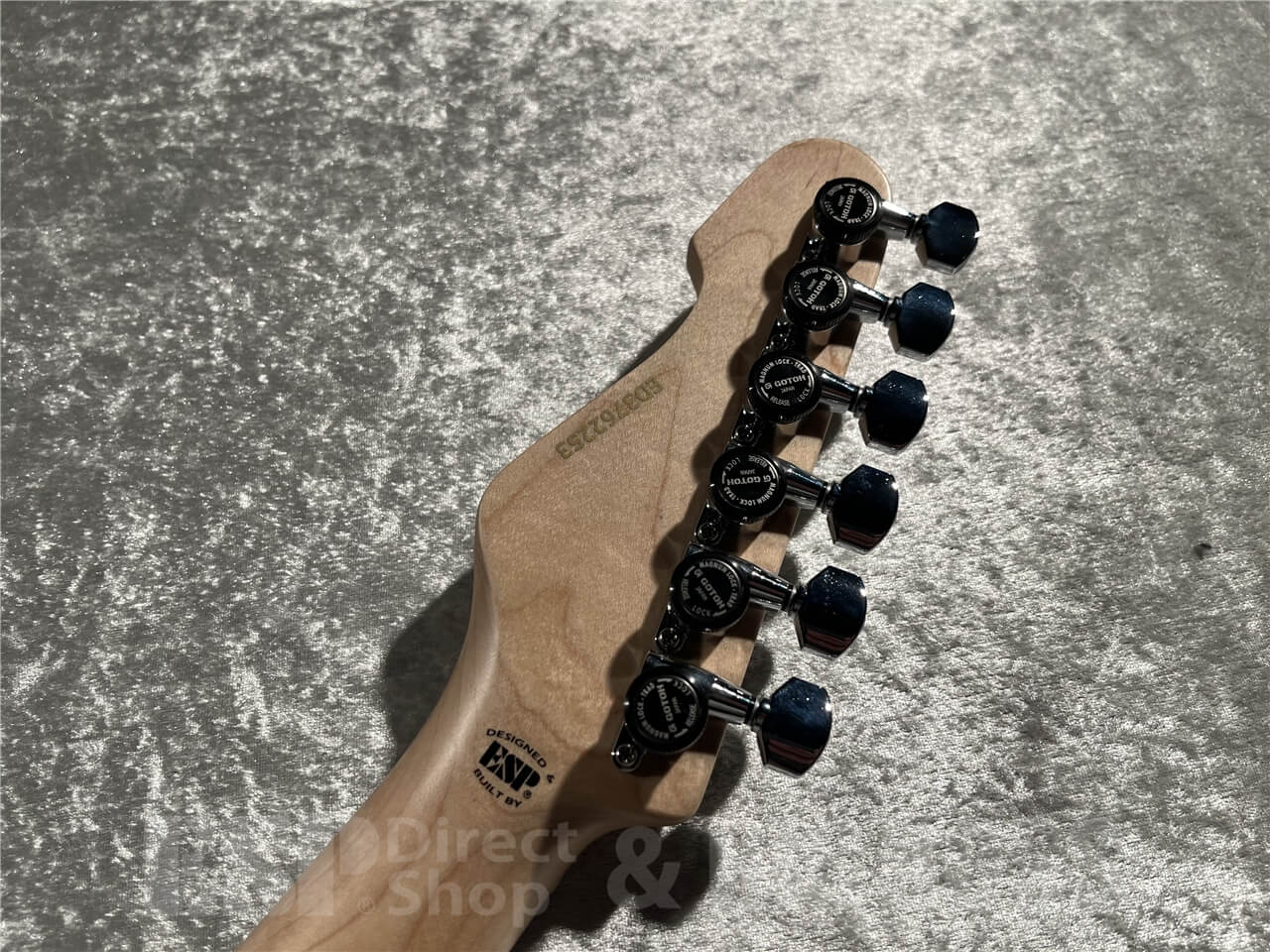 【即納可能】EDWARDS(エドワーズ) E-SNAPPER-AS/M (See Thru Blue Sunburst) 札幌店 - 7