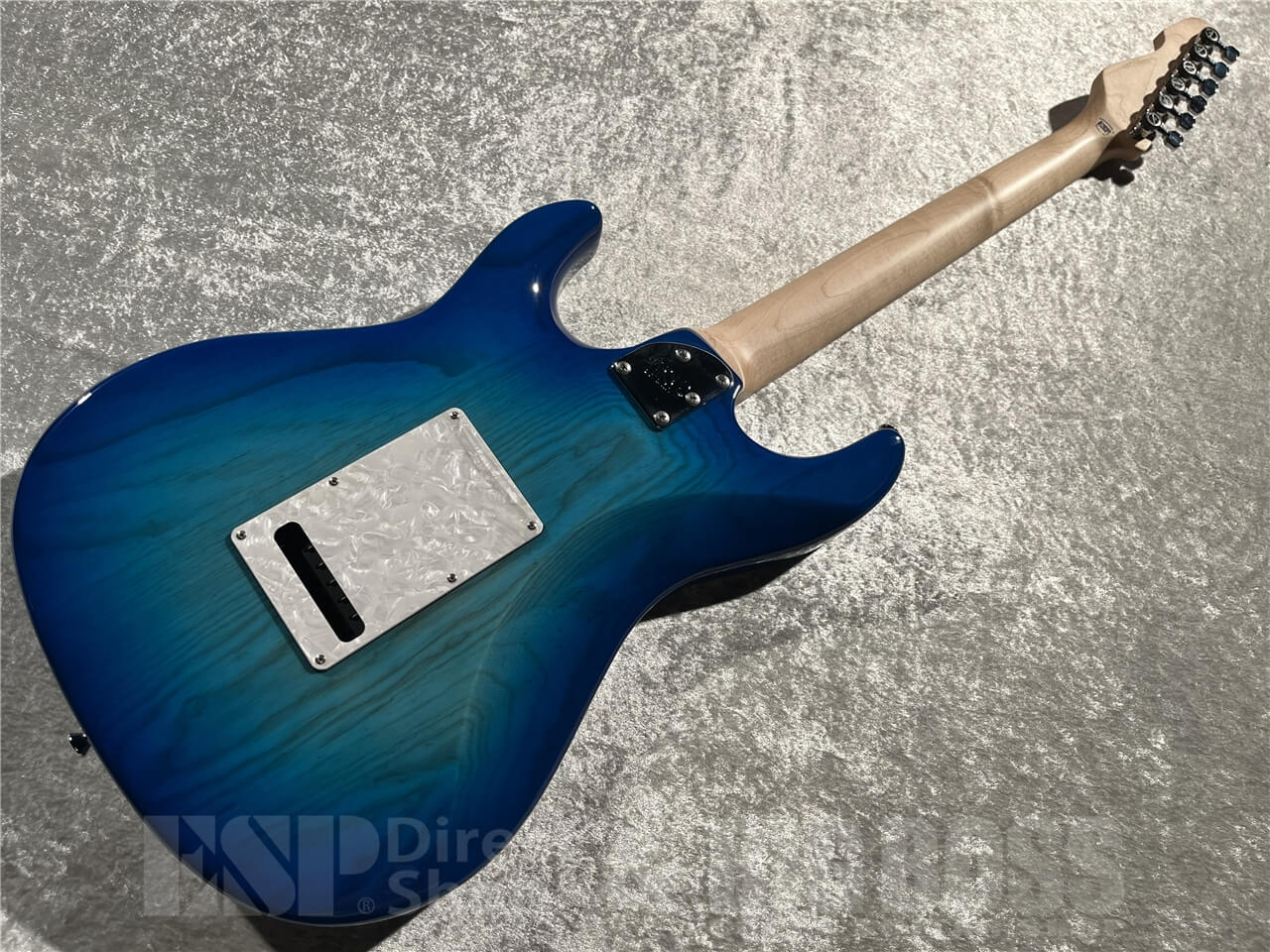 【即納可能】EDWARDS(エドワーズ) E-SNAPPER-AS/M (See Thru Blue Sunburst) 札幌店 - 6
