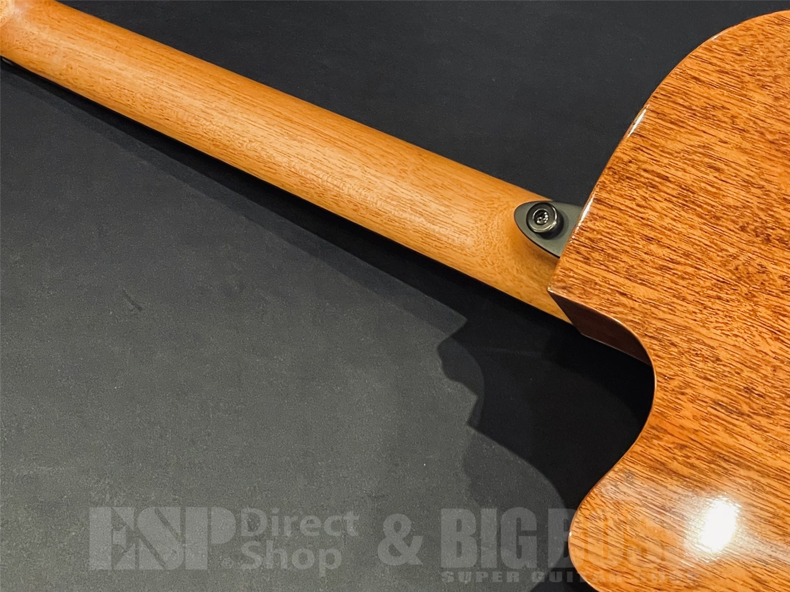 【即納可能】LAG Guitars(ラグギターズ) T88ACE / Natural 京都店 - 10