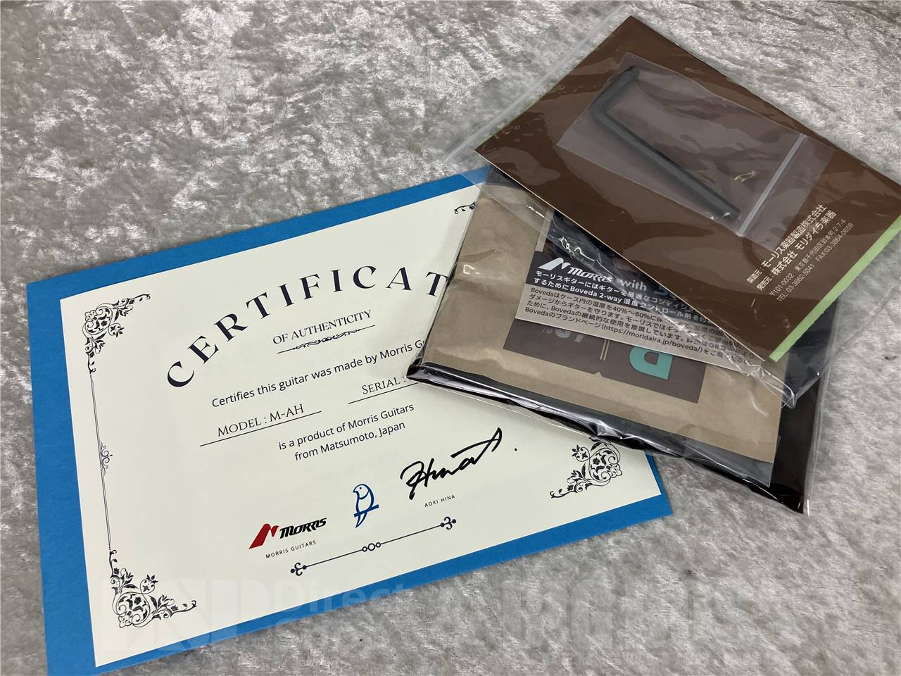 【初回入荷分】Morris(モーリス) M-AH 青木陽菜氏シグネチャー（エレアコ）お茶の水駅前店・別館 - 3