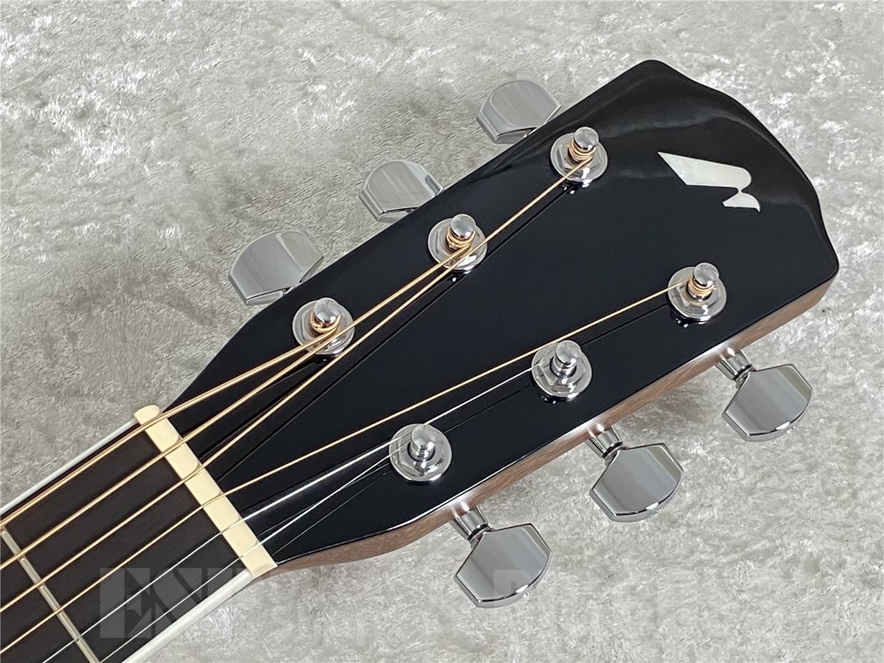 【初回入荷分】Morris(モーリス) M-AH 青木陽菜氏シグネチャー（エレアコ）お茶の水駅前店・別館 - 9