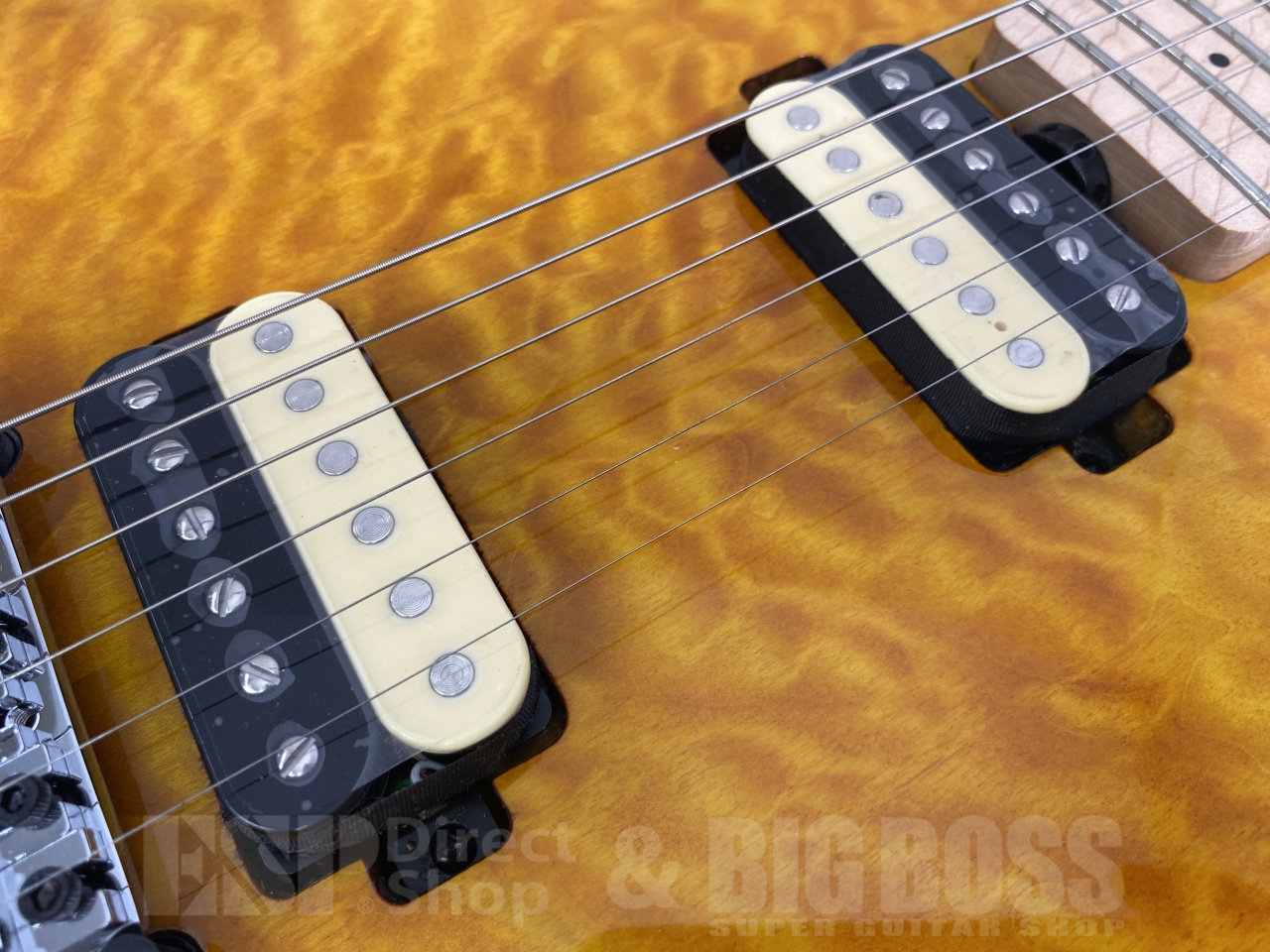 【即納可能】Sterling by MUSICMAN(スターリン バイ ミュージックマン) AX40-TGO-M / Trans Gold お茶の水駅前店(東京)