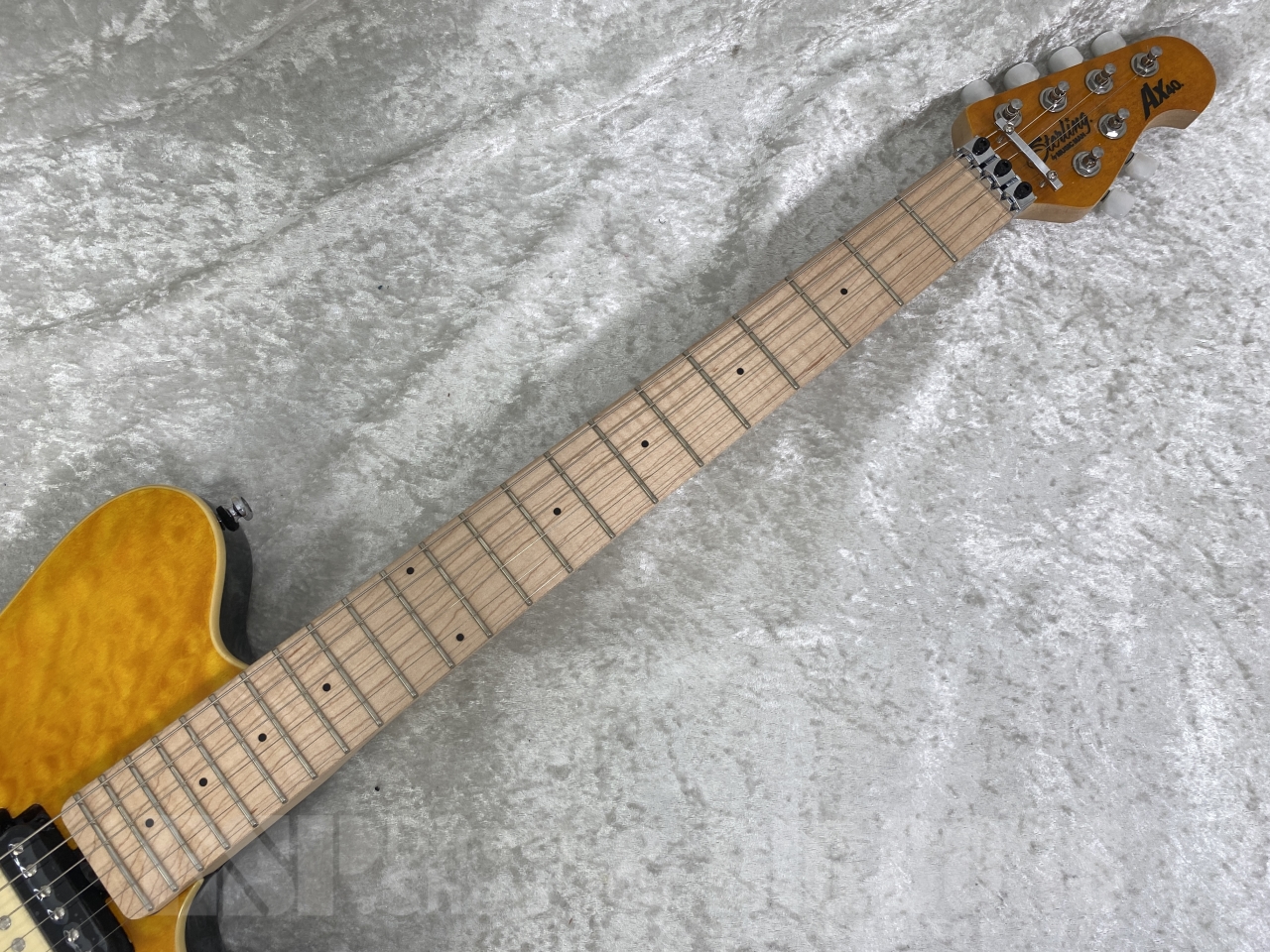 【即納可能】Sterling by MUSICMAN(スターリン バイ ミュージックマン) AX40-TGO-M / Trans Gold お茶の水駅前店(東京)