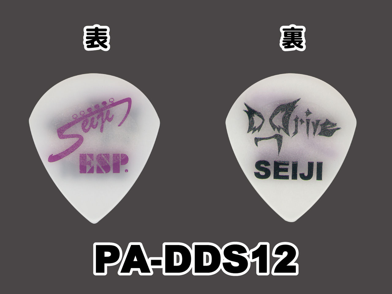 ESP(イーエスピー) Artist Pick Series PA-DDS12 (D_Drive/Seiji Model)