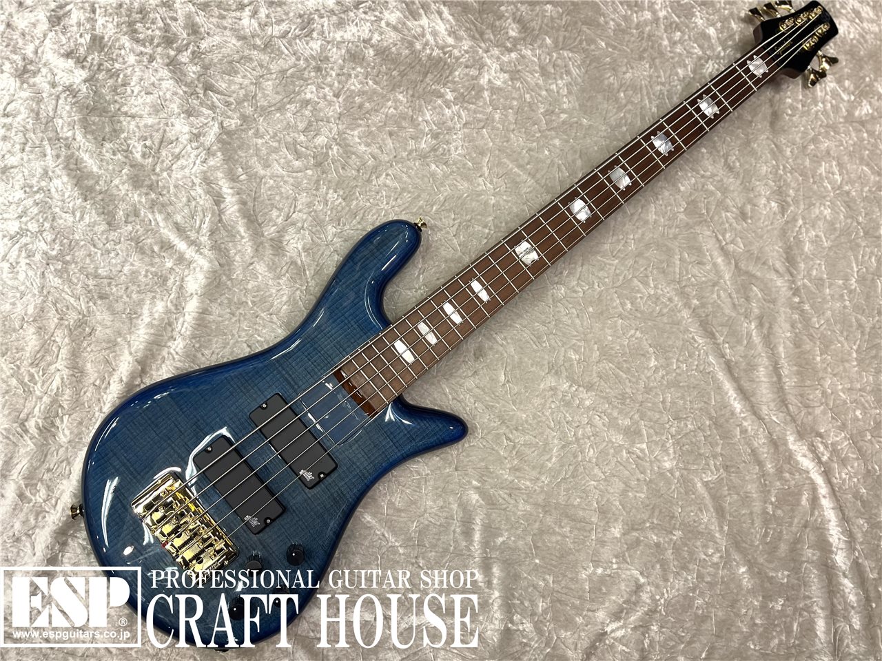 【即納可能】Spector EuroBolt 5 Japan Exclusive / Blue Burst　渋谷店