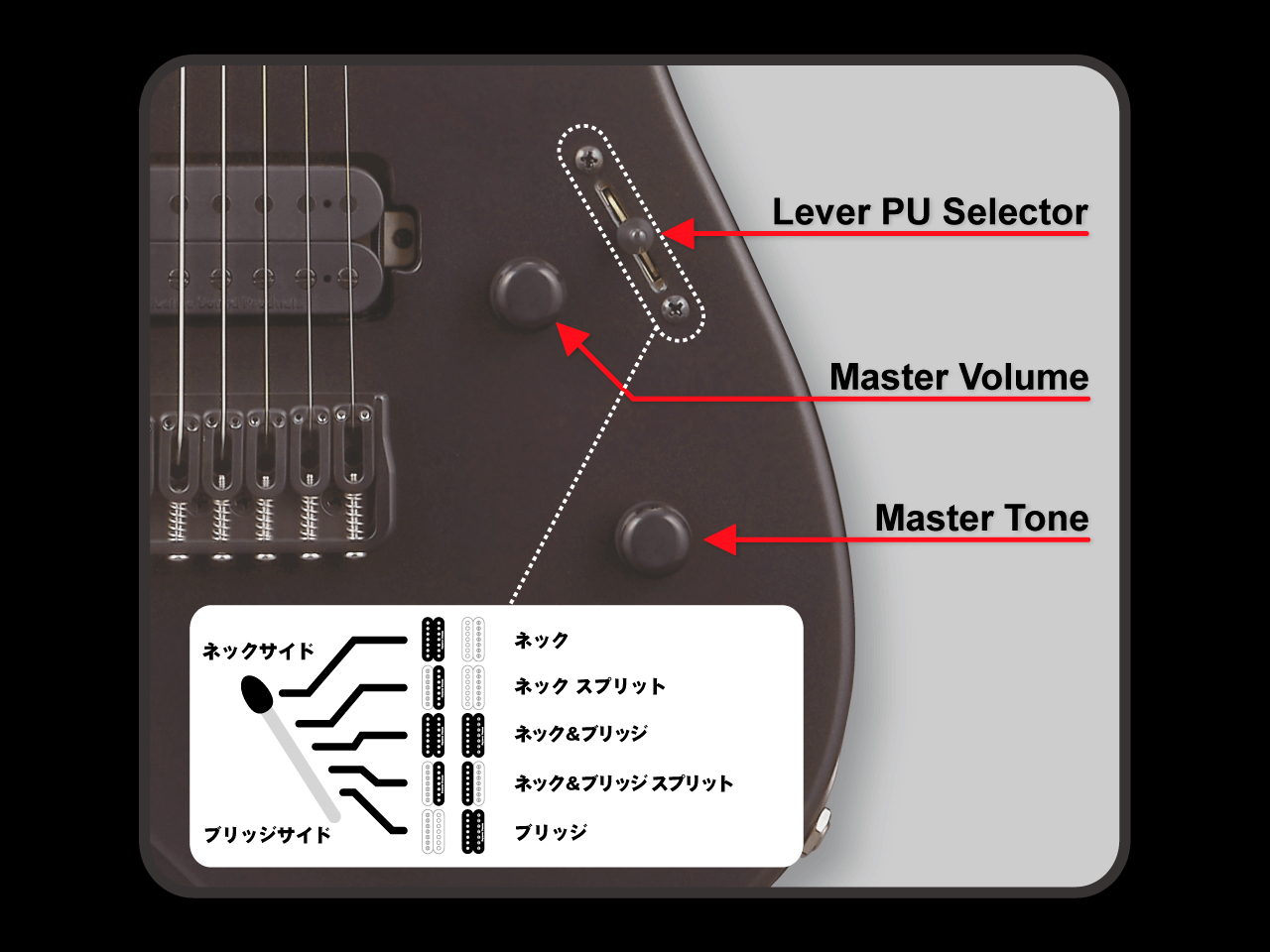 【お取寄せ商品】EDWARDS (エドワーズ) E-M-II-7 / Ice Blue Metallic