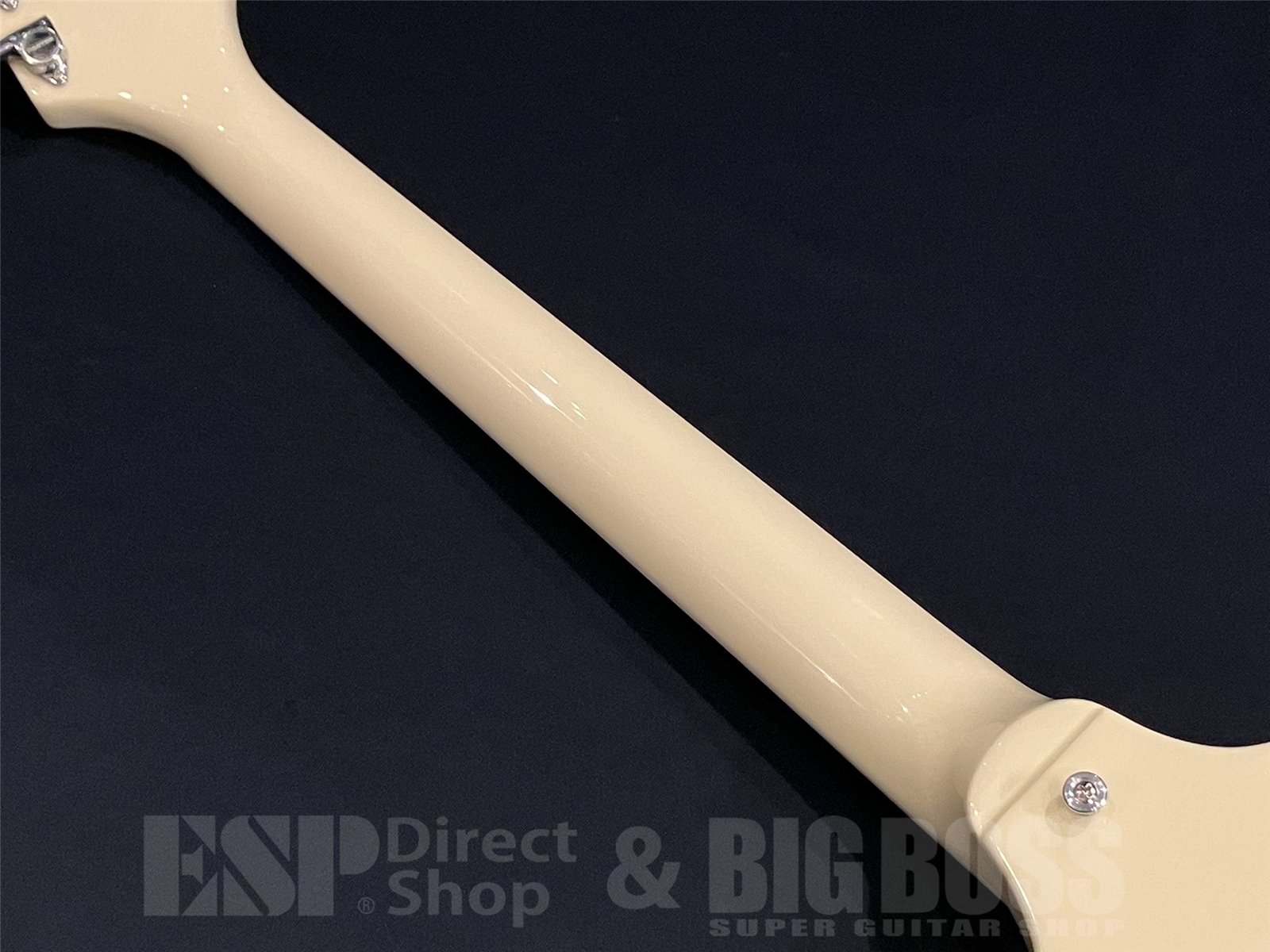 【即納可能】EDWARDS(エドワーズ) E-FV-LTD / Vintage White 京都店 - 10