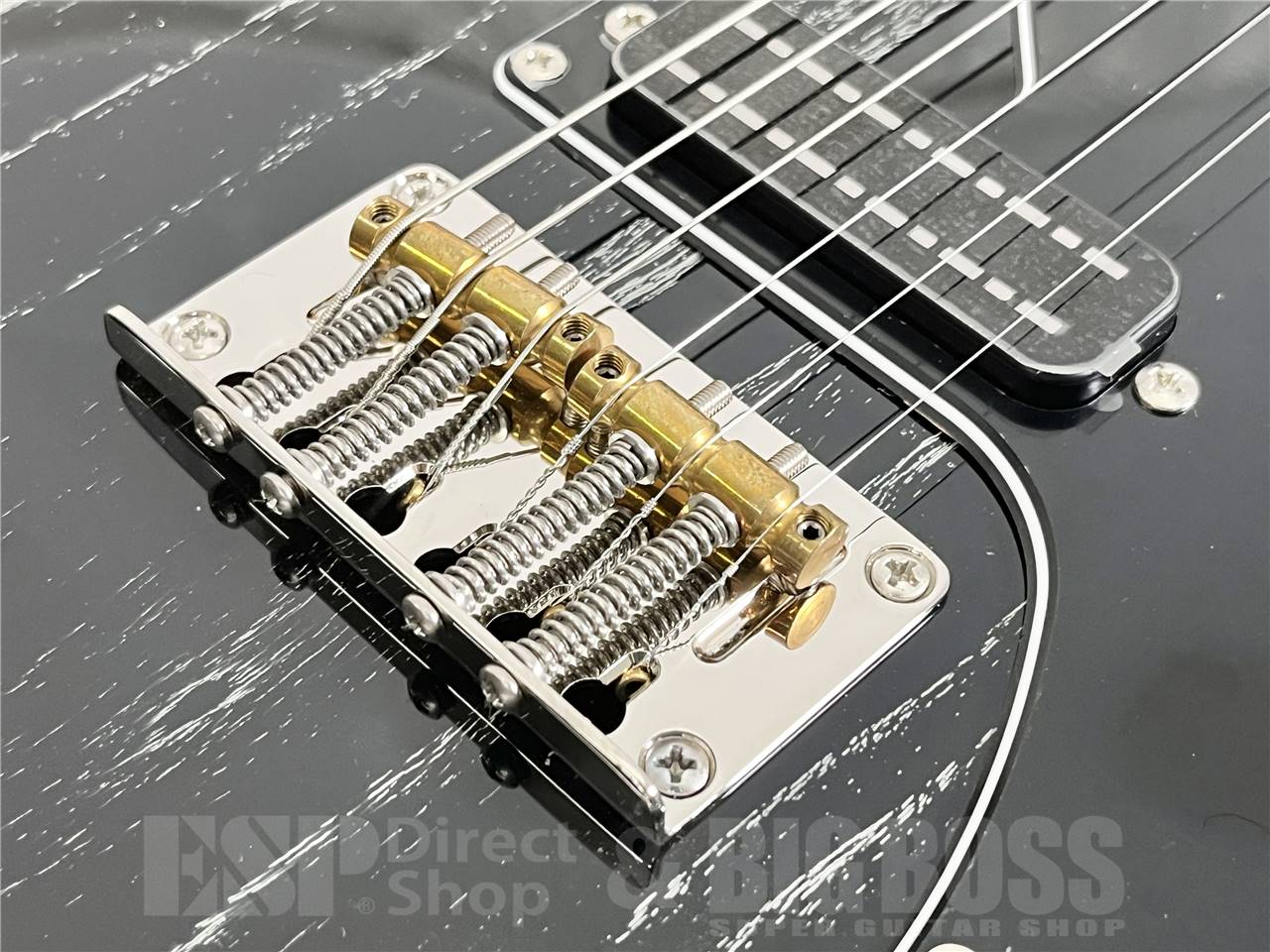 【即納可能】Paul Reed Smith  (ポールリードスミス/PRS) SE NF 53 / Black Doghair (2025年製) お茶の水駅前店・別館 - 3