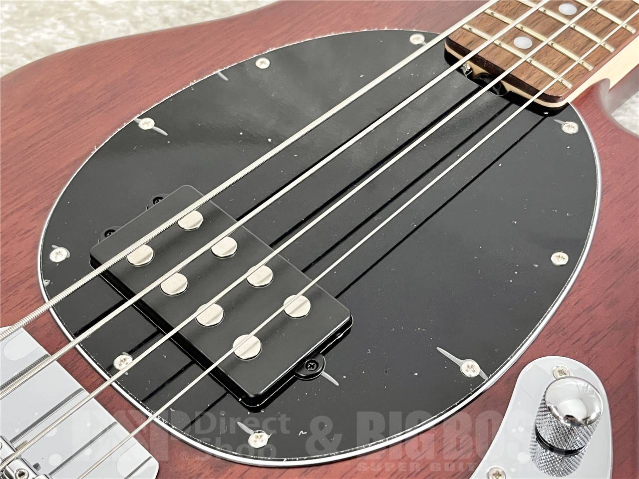 【即納可能】Sterling by MUSICMAN (スターリン) SUB RAY4 WN(エレキベース)お茶の水駅前店・別館 - 4