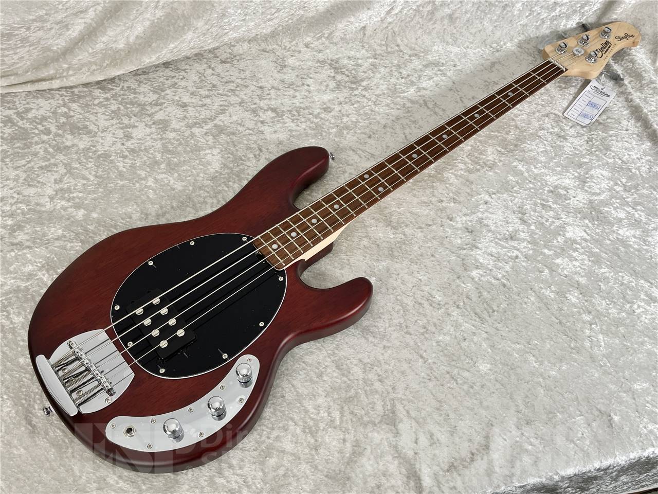 【即納可能】Sterling by MUSICMAN (スターリン) SUB RAY4 WN(エレキベース)お茶の水駅前店・別館