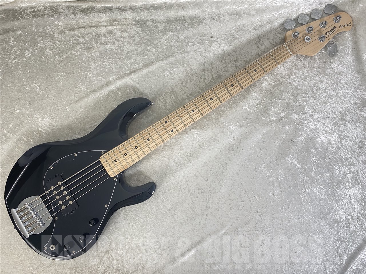 【即納可能】Sterling by MUSIC MAN(スターリンバイミュージックマン) S.U.B RAY5 / Black お茶の水駅前店(東京) - 2
