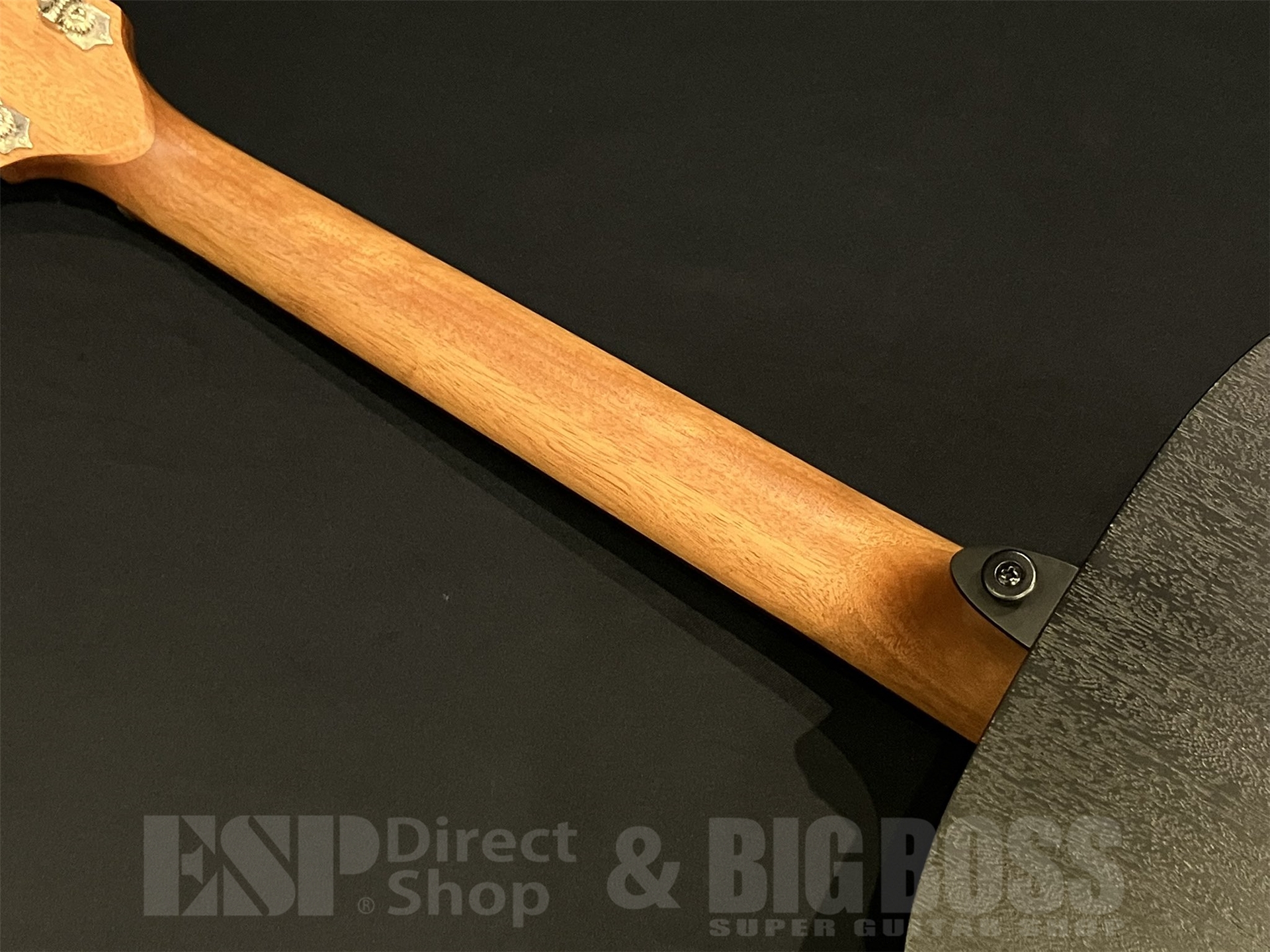 【即納可能】LAG Guitars (ラグギターズ) T70D / BLACK & BROWN 京都店