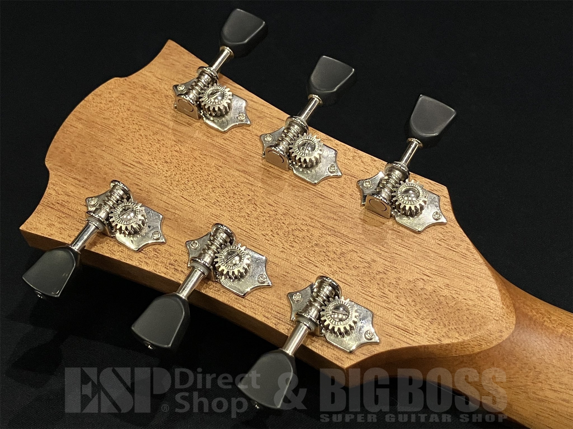 【即納可能】LAG Guitars (ラグギターズ) T70D / BLACK & BROWN 京都店