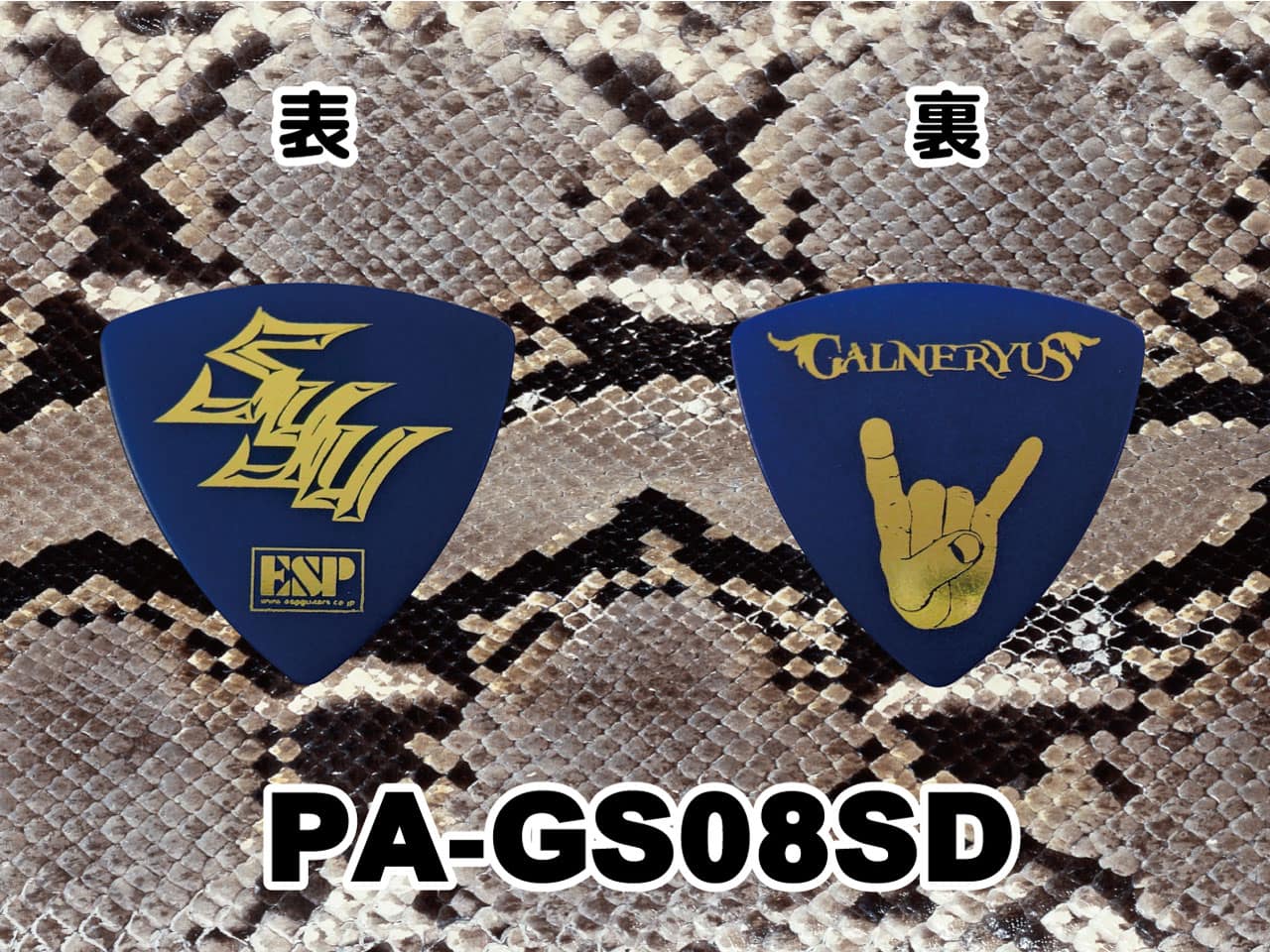 ESP(イーエスピー) Artist Pick Series PA-GS08SD (GALNERYUS/SYUモデル)