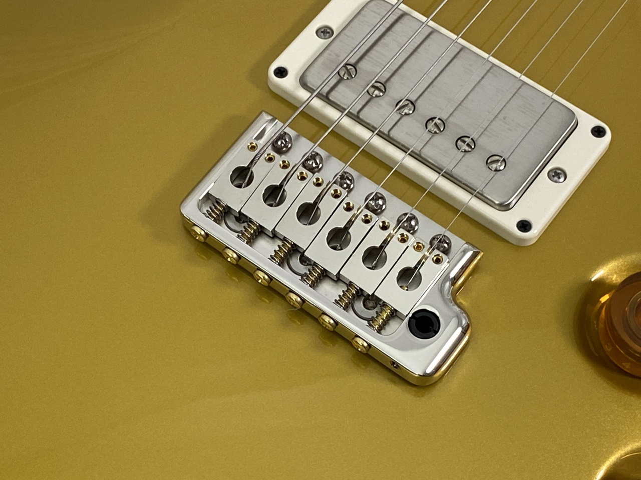 【即納可能】Paul Reed Smith  (ポールリードスミス/PRS) DGT Birds / DGT Gold Top (2026年製 S/N0426728) - 6