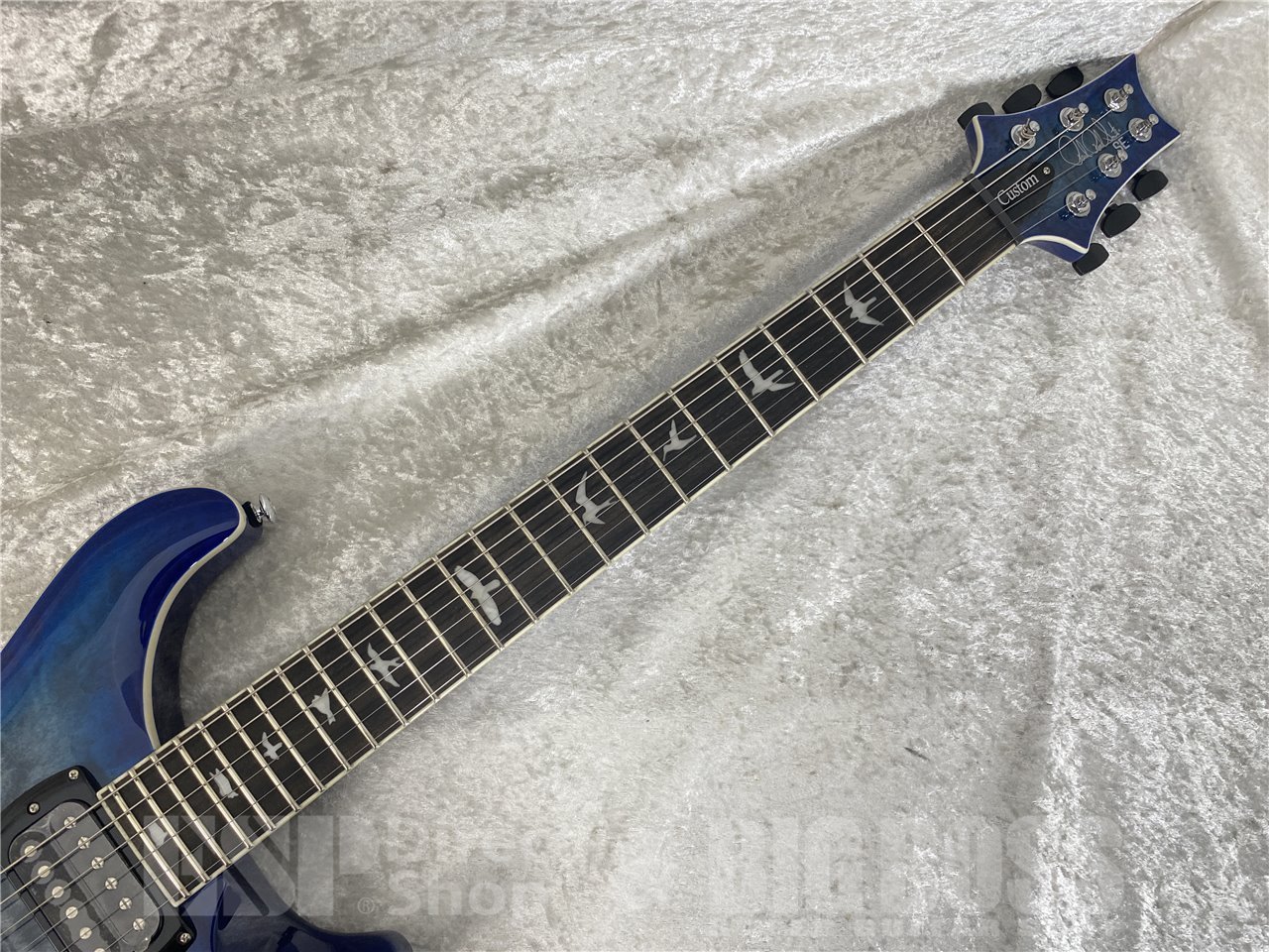 【即納可能】Paul Reed Smith(PRS/ポールリードスミス)SE Custom 24 Quilt Package (Charcoal Blue Burst) お茶の水駅前店(東京) - 6