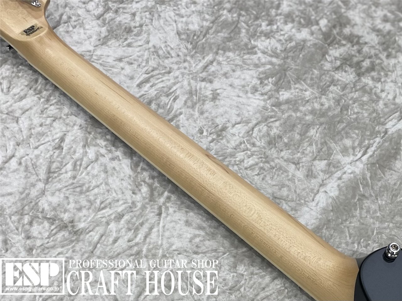 【即納可能】ESP ALEXI RIPPED / Purple Fade Satin w/Ripped Pinstripes　渋谷店