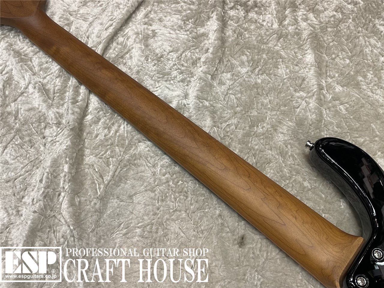 【即納可能】Sadowsky MX24 MS5 / MAPLE Fingerboard　渋谷店