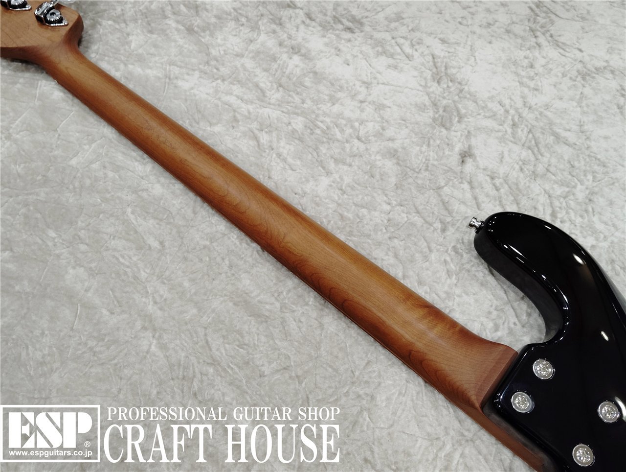 【即納可能】Sadowsky MX21 VJ4 Morado / Black　渋谷店