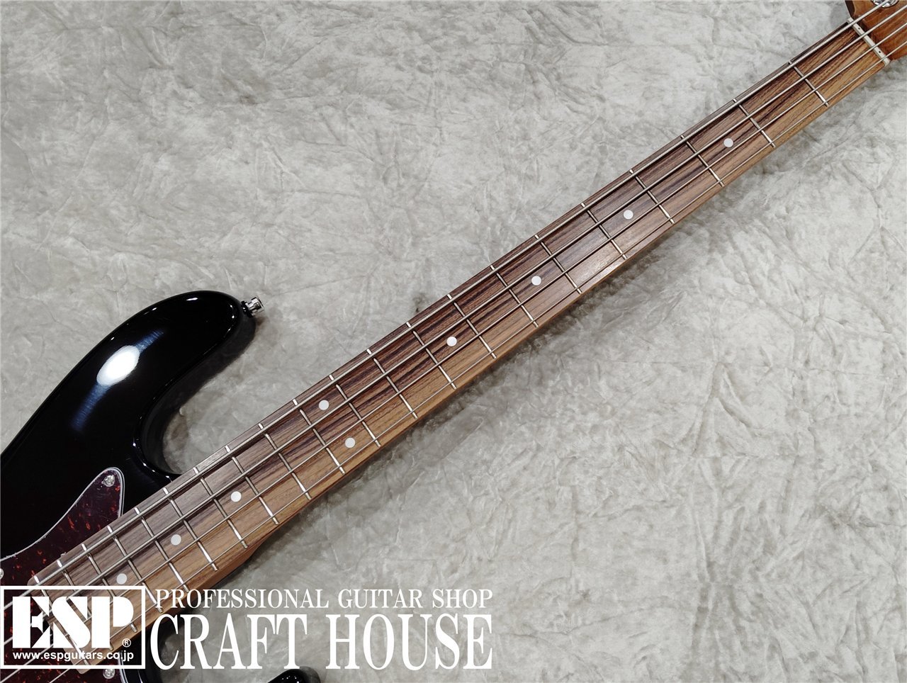 【即納可能】Sadowsky MX21 VJ4 Morado / Black　渋谷店