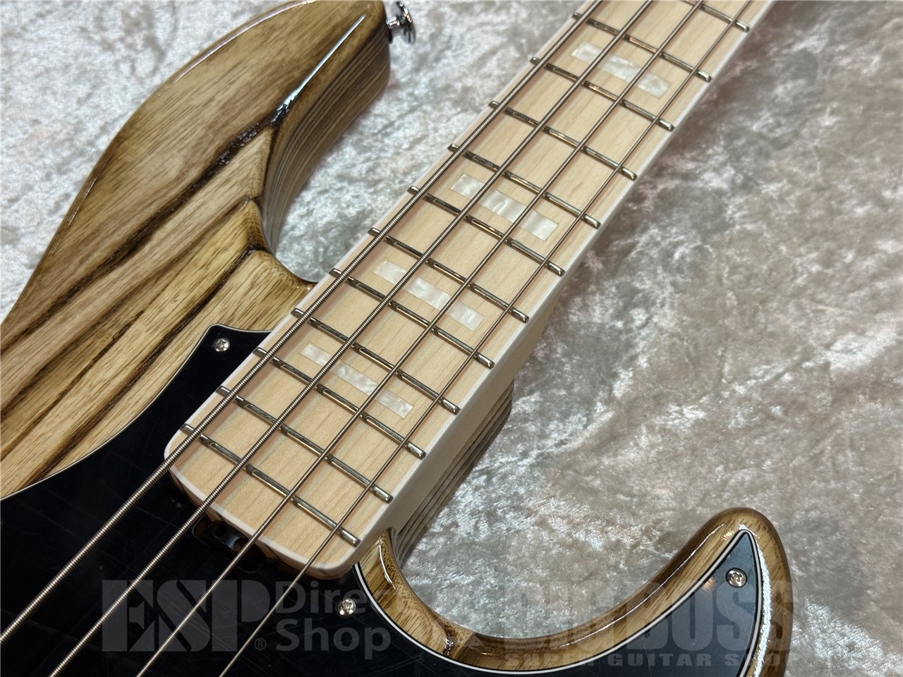 【即納可能】 EDWARDS(エドワーズ) E-AMAZE-AS-4/M (Solid Burner) 広島店