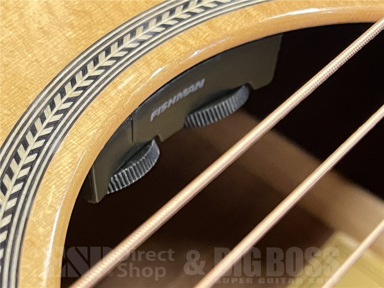 【即納可能】Eastman（イーストマン）E1-OMCE-Special（Thermo-Cure Natural）　名古屋店