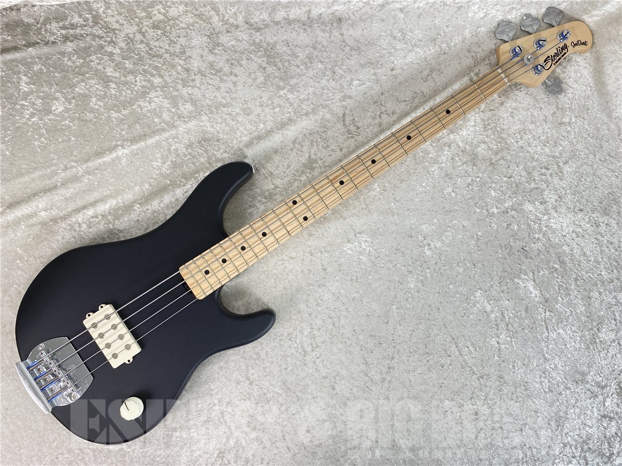 【即納可能】Sterling by MUSIC MAN(スターリンバイミュージックマン) Joe Dart I / Black お茶の水駅前店(東京) - 2