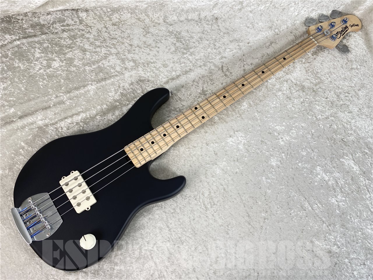 【即納可能】Sterling by MUSIC MAN(スターリンバイミュージックマン) Joe Dart I / Black お茶の水駅前店(東京)