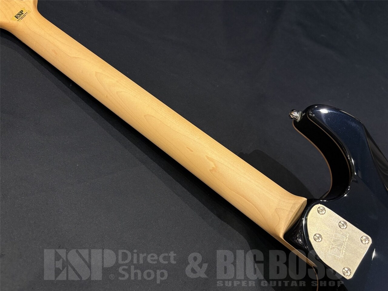【即納可能】ESP(イーエスピー) SNAPPER-CTM-FM / Marine Blue w/Blue Pearl Black 京都店 - 10