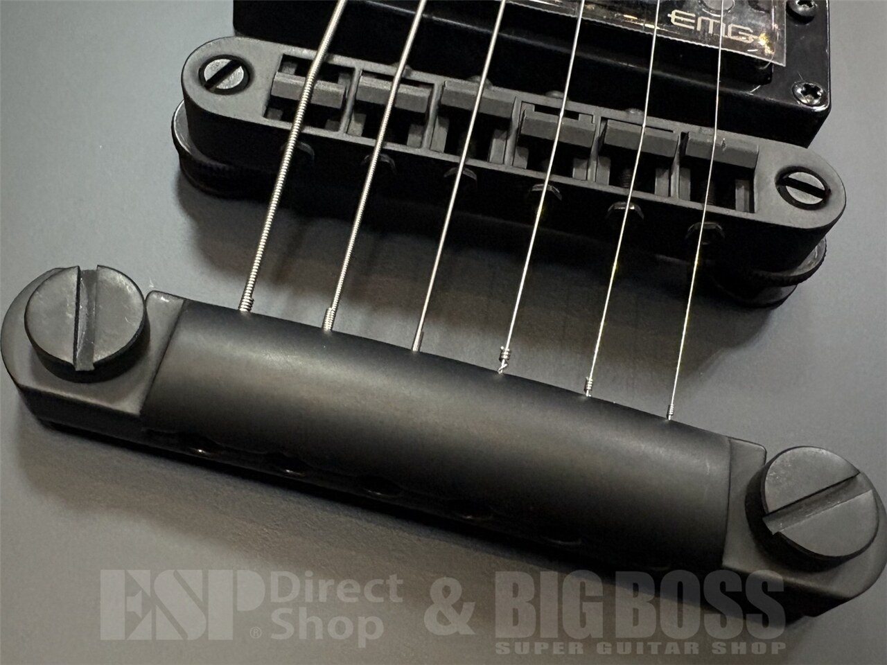 【即納可能】LTD SNAKEBYTE /Black Satin GWS - 3