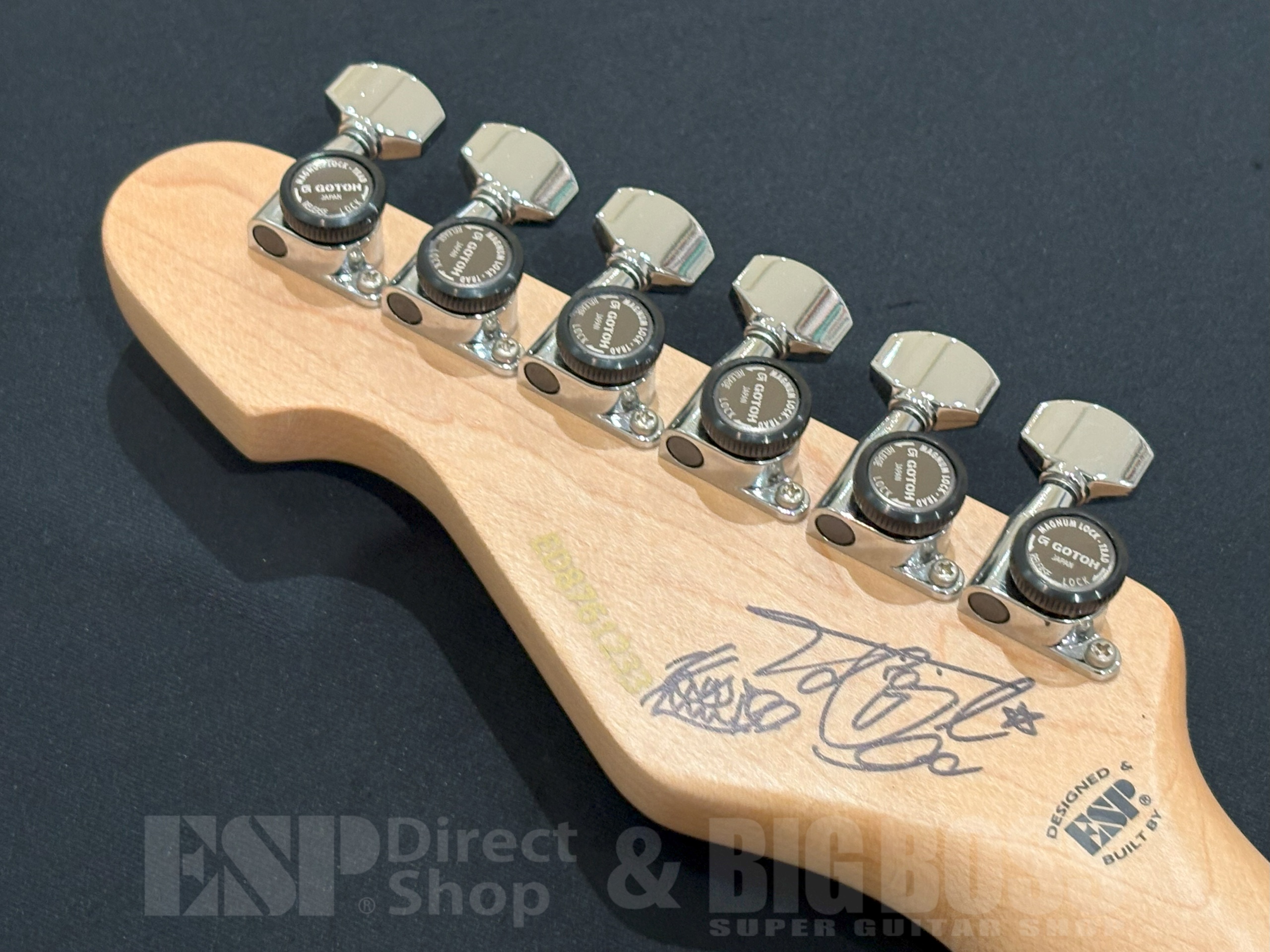 【即納可能】EDWARDS(エドワーズ) E-SNAPPER TO / Royal Silver (大村孝佳モデル) 大阪店【直筆サイン入り!】