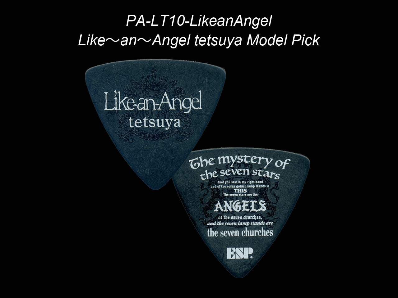 ESP(イーエスピー) Artist Pick Series PA-LT10-LikeanAngel (BK) Like〜an〜Angel tetsuya Model Pick (L’Arc～en～Ciel/tetsuyaモデル)