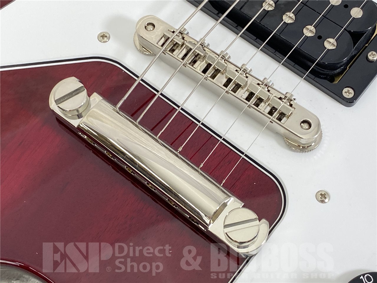 【即納可能】EDWARDS(エドワーズ) E-FV-LTD / Cherry お茶の水駅前店(東京) - 5