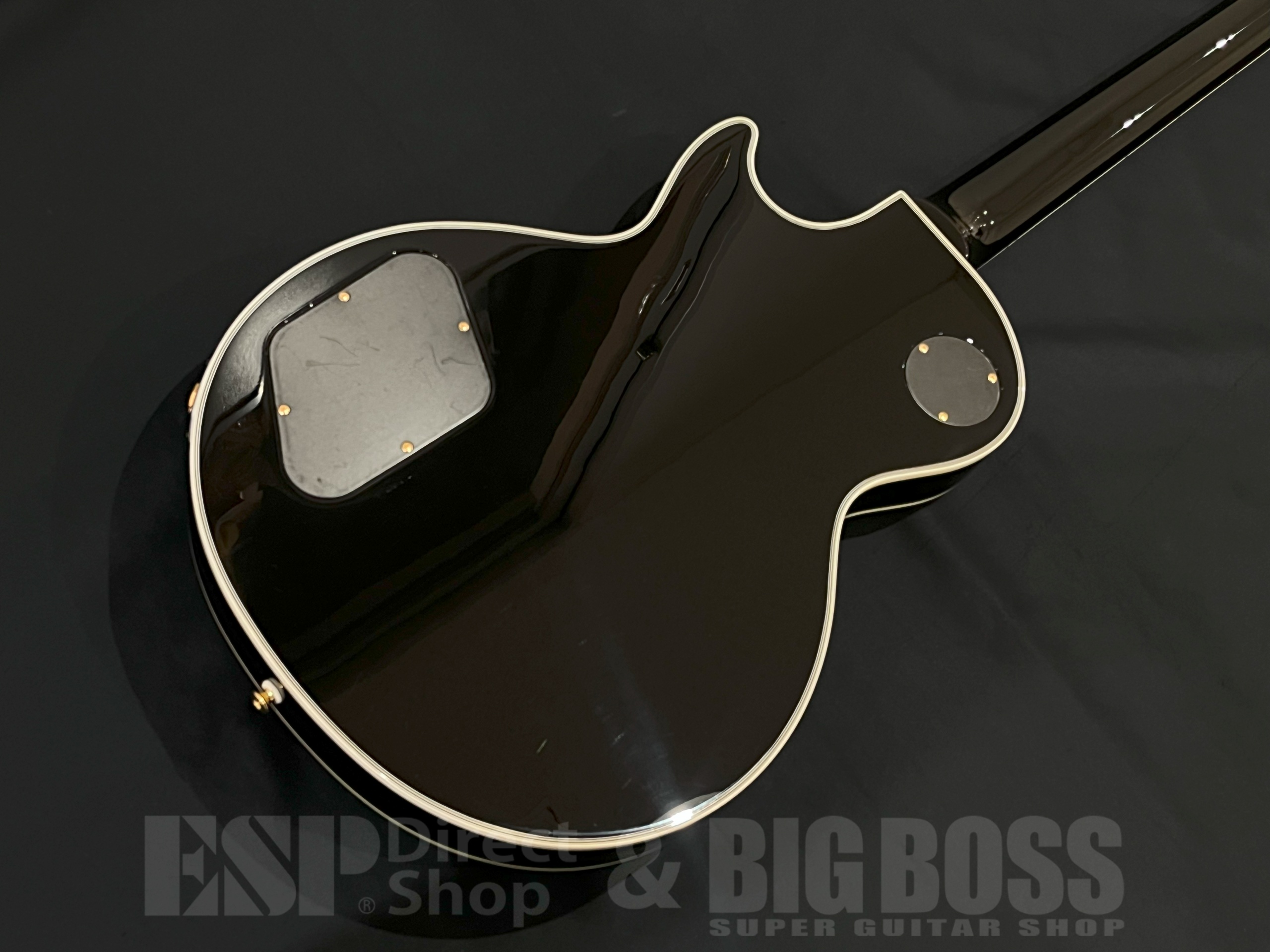 【即納可能】Tokai(トーカイ) LC-201S / BB 大阪店