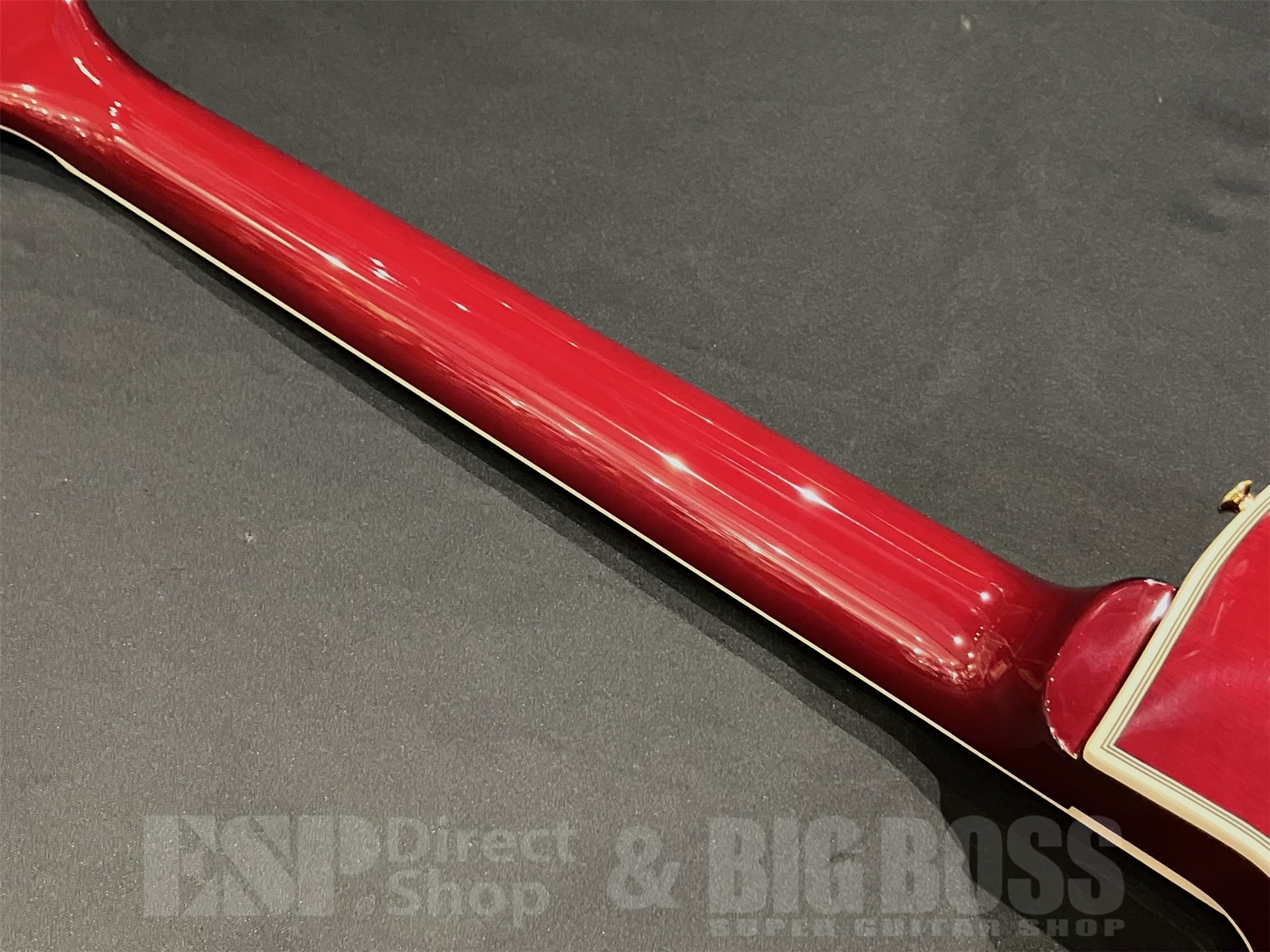 【即納可能】EDWARDS(エドワーズ) E-LP-CTM/P / Cherry 京都店