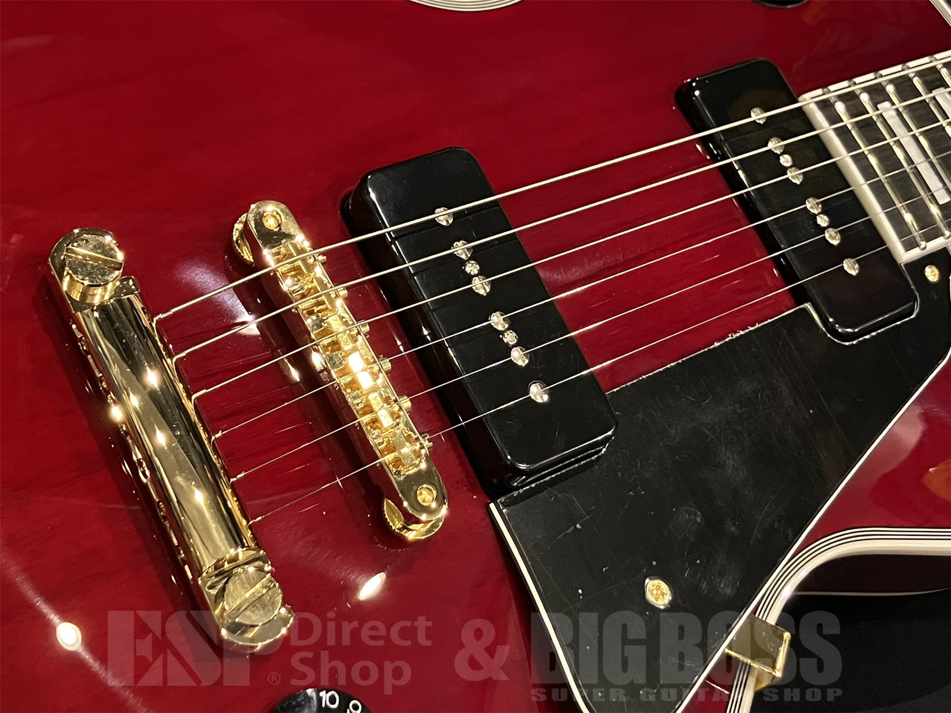 【即納可能】EDWARDS(エドワーズ) E-LP-CTM/P / Cherry 京都店