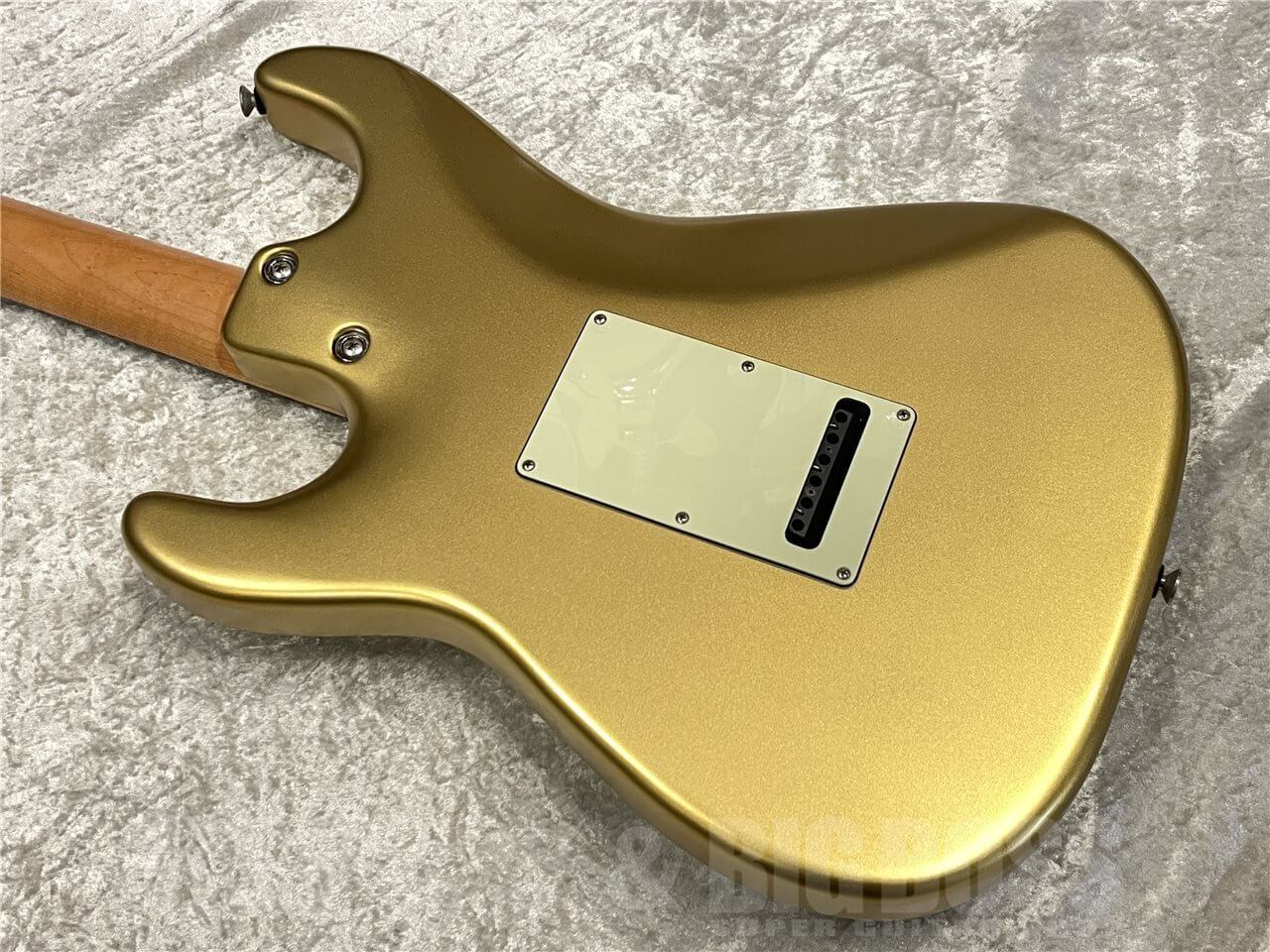 【即納可能/USED】Tom Anderson(トムアンダーソン)Icon Classic(Stain Egyptian Gold) 名古屋店