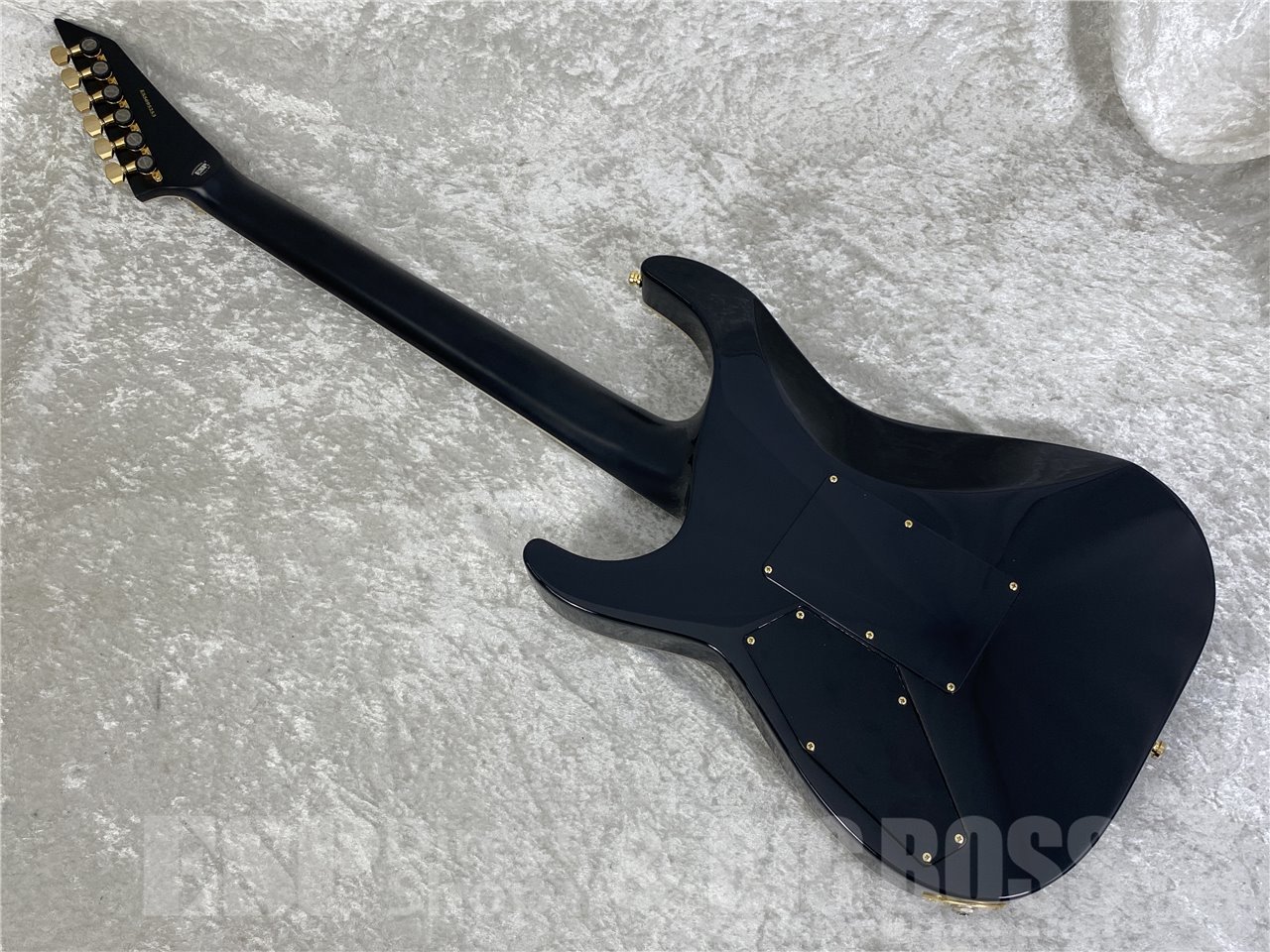 【即納可能】E-II(イーツー) M-II QM / Black Natural Burst お茶の水駅前店(東京) - 9