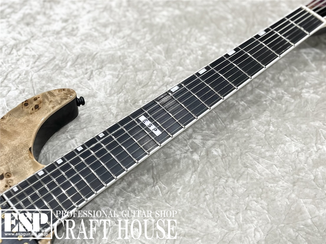 【即納可能】E-II M-II 7NT HS / Purple Natural Fade　渋谷店