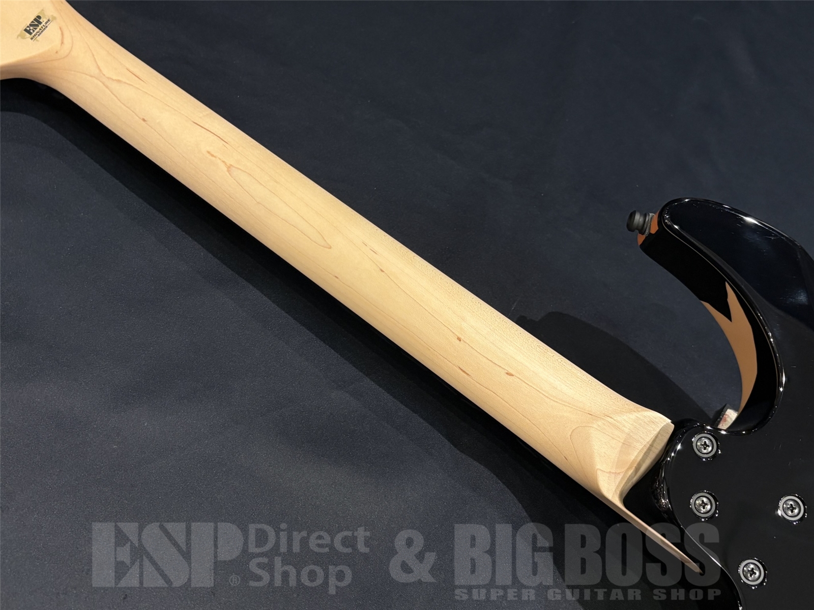 【即納可能】ESP(イーエスピー) GL DESERT EAGLE / Black w / Desert Eagle Graphic 【George Lynchモデル】 京都店 - 10