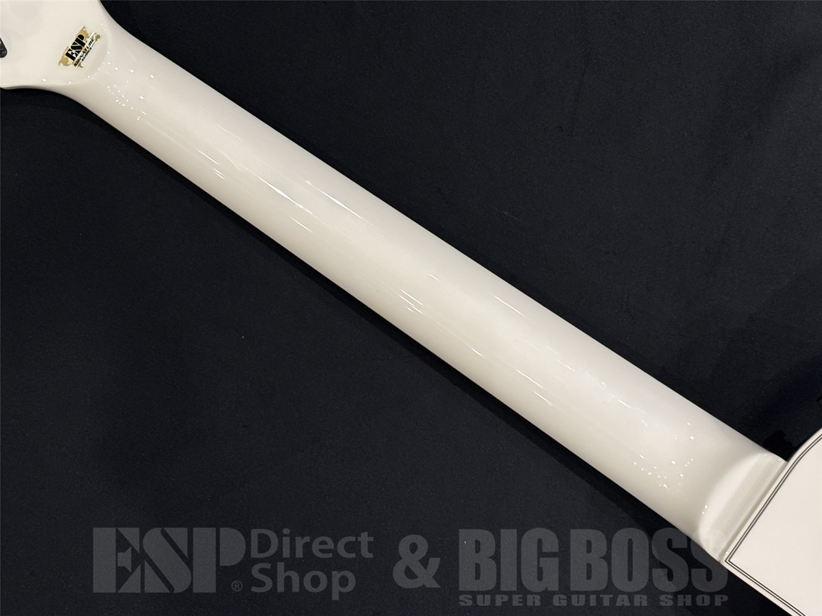 【即納可能】ESP(イーエスピー)IRON CROSS / Snow White w/Stripes Graphic 【James Hetfield Model】京都店 - 10