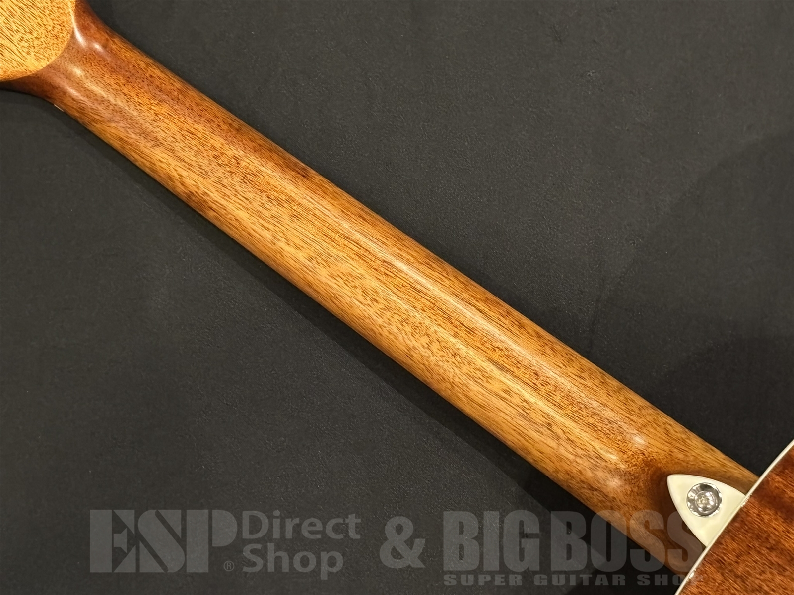 【即納可能】Morris(モーリス)G-3/Red Brown Sunburst京都店 - 10