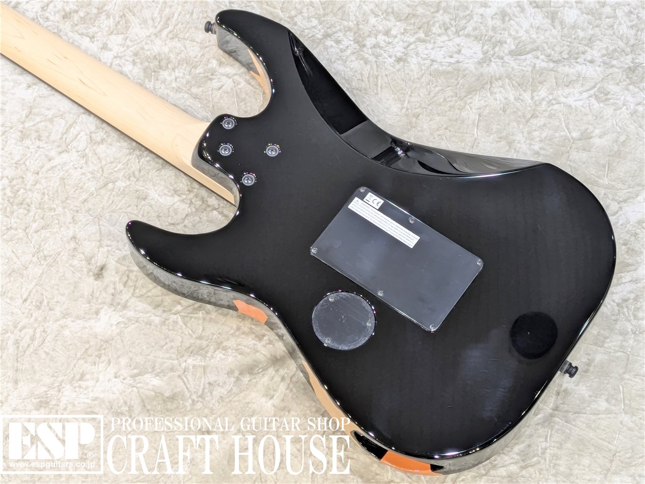 【即納可能】George Lynch Signature Model / ESP GL DESERT EAGLE / Black w/Desert Eagle Graphic  渋谷店 - 6