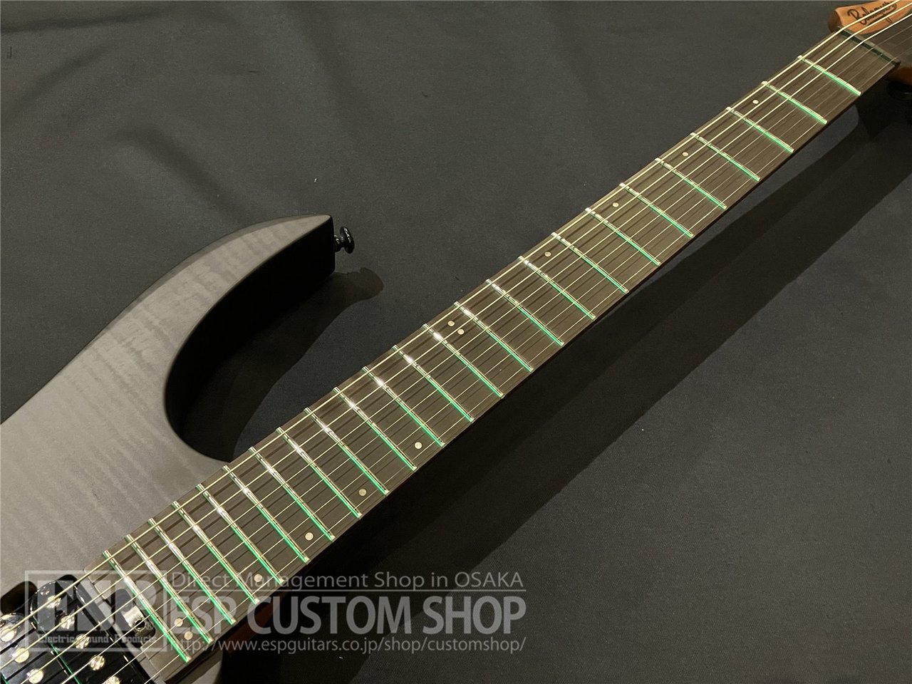 【即納可能】Balaguer Guitars(バラゲールギターズ)  Diablo Standard with Evertune Bridge / Satin Trans Black　大阪店