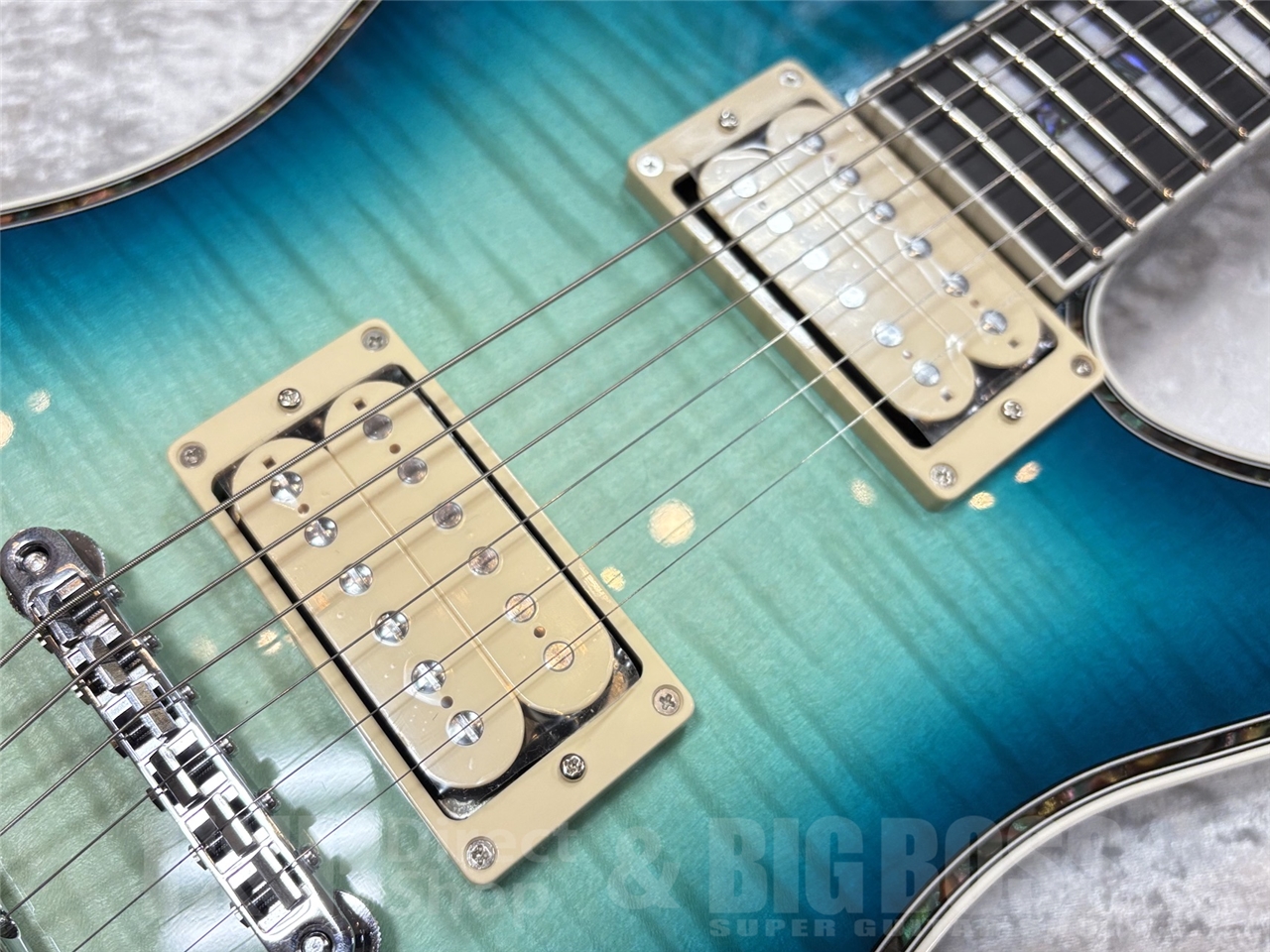 【即納可能】Greco GM-CST/FM Beach Emerald　GWS - 6